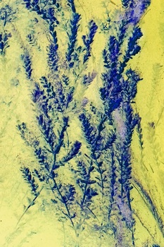 N 060D